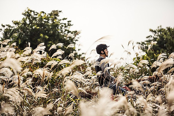 포토 JPG 주간 남자 한명 상반신 20대 성인 야외 옆모습 제주도 한국인 가을 말_동물 체험 승마 승차 즐거움 억새 남자만 성인남자만 성읍랜드 국내포토 자연요소 식물 1 계절 감정 스포츠 뷰포인트 컨셉 포유류 모션 한국 사람 동양인 청년 성인만 파일형식