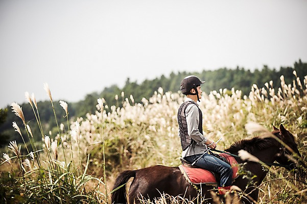 포토 JPG 주간 남자 한명 상반신 20대 성인 야외 옆모습 제주도 한국인 가을 말_동물 체험 승마 승차 즐거움 억새 남자만 성인남자만 성읍랜드 국내포토 자연요소 식물 1 계절 감정 스포츠 뷰포인트 컨셉 포유류 모션 한국 사람 동양인 청년 성인만 파일형식