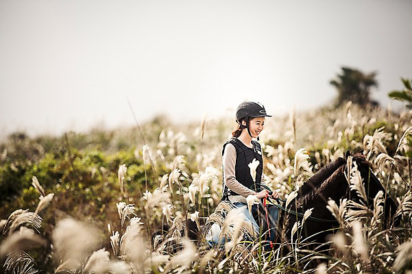 포토 JPG 주간 커플 여자 커플라이프 한명 미소 상반신 20대 성인 야외 옆모습 제주도 한국인 가을 말_동물 체험 승마 승차 즐거움 억새 여자만 성인여자만 성읍랜드 국내포토 자연요소 식물 1 라이프스타일 계절 감정 스포츠 뷰포인트 컨셉 포유류 관계 모션 한국 표정 사람 동양인 청년 성인만 파일형식