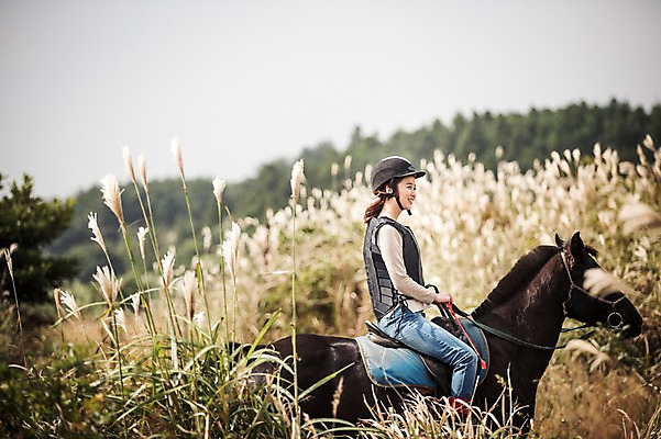 포토 JPG 주간 여자 한명 미소 상반신 20대 성인 야외 옆모습 제주도 한국인 가을 말_동물 체험 승마 승차 즐거움 억새 여자만 성인여자만 성읍랜드 국내포토 자연요소 식물 1 계절 감정 스포츠 뷰포인트 컨셉 포유류 모션 한국 표정 사람 동양인 청년 성인만 파일형식