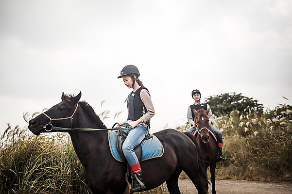 포토 JPG 주간 전신 커플 여자 남자 커플라이프 20대 성인 야외 두명 앞모습 옆모습 제주도 한국인 가을 말_동물 체험 승마 승차 즐거움 성읍랜드 국내포토 자연요소 라이프스타일 계절 감정 스포츠 뷰포인트 컨셉 포유류 관계 모션 한국 사람 동양인 청년 파일형식
