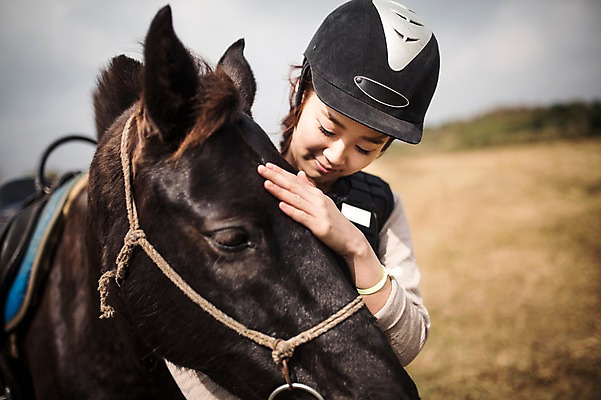 포토 JPG 주간 여자 한명 서기 상반신 20대 성인 야외 앞모습 제주도 한국인 가을 말_동물 체험 승마 즐거움 여자만 성인여자만 성읍랜드 쓰다듬기 국내포토 자연요소 1 계절 감정 스포츠 뷰포인트 컨셉 포유류 모션 한국 사람 동양인 청년 성인만 파일형식