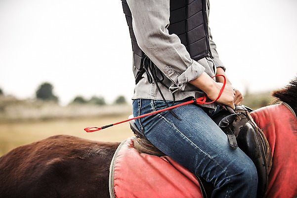 포토 JPG 주간 남자 한명 상반신 20대 성인 야외 옆모습 제주도 한국인 가을 말_동물 체험 승마 승차 즐거움 남자만 성인남자만 성읍랜드 국내포토 자연요소 1 계절 감정 스포츠 뷰포인트 컨셉 포유류 모션 한국 사람 동양인 청년 성인만 파일형식