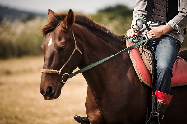포토 JPG 주간 남자 한명 20대 성인 야외 앞모습 제주도 한국인 하반신 가을 말_동물 체험 승마 승차 즐거움 남자만 성인남자만 성읍랜드 국내포토 자연요소 1 계절 감정 스포츠 뷰포인트 컨셉 포유류 모션 한국 사람 동양인 청년 성인만 파일형식