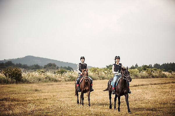 포토 JPG 주간 전신 커플 여자 남자 커플라이프 20대 성인 야외 두명 앞모습 제주도 한국인 가을 말_동물 체험 승마 승차 즐거움 성인만 성읍랜드 국내포토 자연요소 라이프스타일 계절 감정 스포츠 뷰포인트 컨셉 포유류 관계 모션 한국 사람 동양인 청년 파일형식