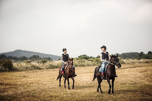포토 JPG 주간 전신 커플 여자 남자 커플라이프 20대 성인 야외 두명 앞모습 제주도 한국인 가을 말_동물 체험 승마 승차 즐거움 성인만 성읍랜드 국내포토 자연요소 라이프스타일 계절 감정 스포츠 뷰포인트 컨셉 포유류 관계 모션 한국 사람 동양인 청년 파일형식