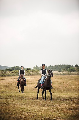포토 JPG 주간 전신 커플 여자 남자 커플라이프 미소 20대 성인 야외 두명 앞모습 제주도 한국인 가을 말_동물 체험 승마 승차 즐거움 성인만 성읍랜드 국내포토 자연요소 라이프스타일 계절 감정 스포츠 뷰포인트 컨셉 포유류 관계 모션 한국 표정 사람 동양인 청년 파일형식