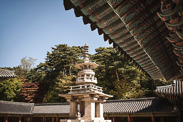 포토 JPG 주간 나무 단풍 유적지 자연 단풍나무 풍경 사람없음 야외 가을 경주 처마 불국사 다보탑 국내포토 자연요소 식물 계절 고건축 잎 석탑 경상북도 생태계 랜드마크 파일형식