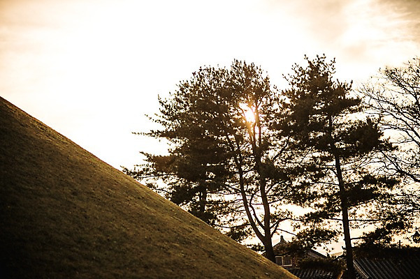 포토 JPG 주간 나무 단풍 낙엽 자연 풍경 사람없음 야외 햇빛 노을 가을 경주 대릉원 국내포토 자연요소 식물 계절 잎 태양 경주_경상북도 경상북도 생태계 파일형식