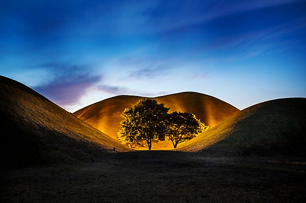 포토 JPG 나무 야경 자연 하늘 조명 사람없음 야외 빛 가을 경주 대릉원 국내포토 식물 계절 경주_경상북도 야간 경상북도 생태계 파일형식 풍경_경치