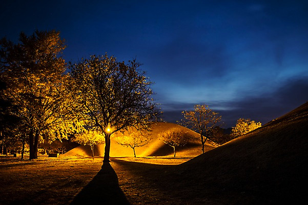 포토 JPG 나무 야경 자연 하늘 조명 사람없음 야외 빛 가을 경주 대릉원 국내포토 식물 계절 경주_경상북도 야간 경상북도 생태계 파일형식 풍경_경치