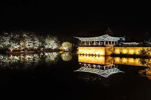 포토 JPG 나무 단풍 야경 유적지 자연 조명 사람없음 야외 물 빛 반사 가을 경주 안압지 국내포토 자연요소 식물 계절 고건축 잎 경주_경상북도 연못 야간 경상북도 생태계 파일형식 풍경_경치