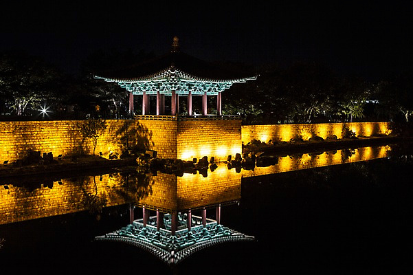 포토 JPG 나무 단풍 야경 유적지 자연 조명 사람없음 야외 물 빛 반사 가을 경주 안압지 국내포토 자연요소 식물 계절 고건축 잎 경주_경상북도 연못 야간 경상북도 생태계 파일형식 풍경_경치