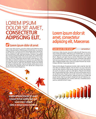 PSD 템플릿 편집 표지디자인 북디자인 출판디자인 내지 리플렛 단풍 2단접지 북커버 단풍나무 팜플렛 사람없음 가을 가을여행 이미지템플릿 나무 계절 여행 잎 파일형식 식물