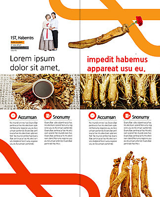 PSD 템플릿 편집 표지디자인 북디자인 출판디자인 여자 내지 리플렛 2단접지 북커버 팜플렛 성인 두명 30대 한의학 한국인 한약재 인삼 60대 한복 며느리 시어머니 보약 이미지템플릿 한국전통 노년 의학 사람 동양인 장년 약재 삼 전통의상 파일형식 시부모님