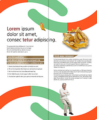 PSD 템플릿 편집 한마리 표지디자인 북디자인 출판디자인 남자 내지 리플렛 2단접지 북커버 조류 한명 앉기 팜플렛 성인 팔짱 한의학 한국인 한약재 60대 이미지템플릿 동물 1 노년 의학 모션 사람 동양인 약재 파일형식