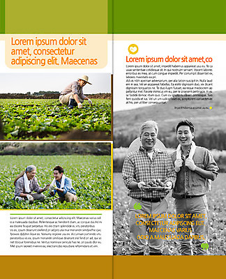 PSD 템플릿 편집 표지디자인 북디자인 출판디자인 남자 내지 아들 리플렛 50대 밭 2단접지 북커버 가족 팜플렛 여러명 성인 30대 농사 한국인 아빠 농부 밭농사 이미지템플릿 직업 중년 다수 농업 관계 사람 동양인 장년 파일형식