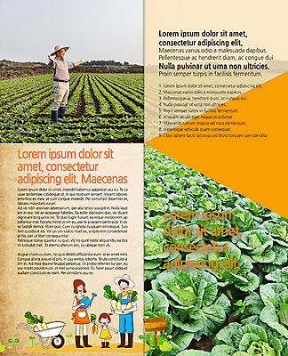 PSD 템플릿 편집 표지디자인 북디자인 출판디자인 여자 남자 딸 내지 어린이 리플렛 50대 2단접지 북커버 가족 엄마 팜플렛 여러명 성인 농사 한국인 아빠 농부 무 배추 배추밭 밭농사 이미지템플릿 직업 중년 다수 밭 농업 채소 관계 뿌리채소 사람 동양인 파일형식