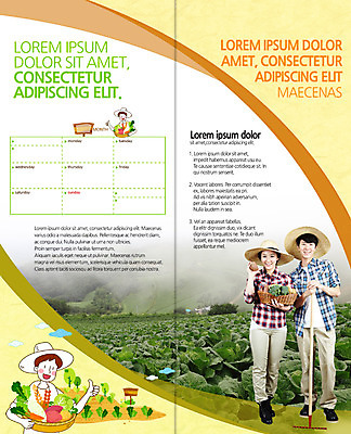 PSD 템플릿 편집 표지디자인 북디자인 커플 출판디자인 여자 남자 내지 리플렛 2단접지 북커버 팜플렛 여러명 20대 성인 농사 한국인 계획 농부 무 배추밭 무밭 이미지템플릿 직업 다수 컨셉 밭 농업 관계 뿌리채소 사람 동양인 청년 파일형식