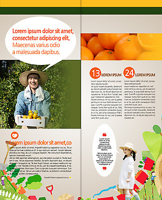 PSD 템플릿 편집 표지디자인 북디자인 출판디자인 여자 남자 내지 어린이 리플렛 2단접지 북커버 귤 팜플렛 여러명 20대 성인 농사 한국인 감귤밭 이미지템플릿 다수 밭 농업 과일 사람 동양인 청년 파일형식