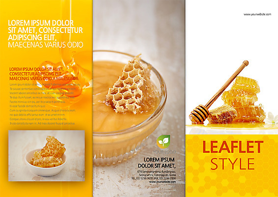 PSD 템플릿 편집 표지디자인 북디자인 출판디자인 표지 리플렛 북커버 3단접지 팜플렛 사람없음 꿀 벌집 허니디퍼 이미지템플릿 도구 파일형식