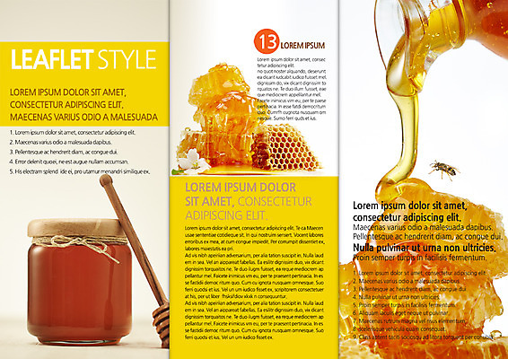 PSD 템플릿 편집 한마리 표지디자인 북디자인 출판디자인 내지 리플렛 북커버 3단접지 팜플렛 사람없음 꿀벌 꿀 벌집 꿀단지 허니디퍼 이미지템플릿 1 도구 벌_곤충 파일형식