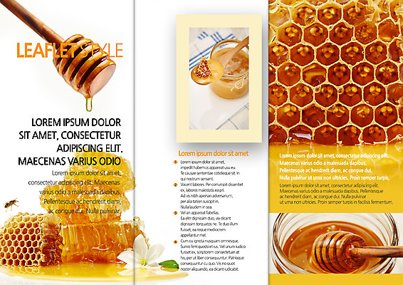 PSD 템플릿 편집 한마리 표지디자인 북디자인 출판디자인 꽃 내지 리플렛 북커버 3단접지 팜플렛 사람없음 꿀벌 꿀 벌집 꿀단지 허니디퍼 이미지템플릿 식물 1 도구 벌_곤충 파일형식