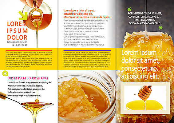 PSD 템플릿 편집 표지디자인 북디자인 손 출판디자인 내지 리플렛 북커버 3단접지 한명 팜플렛 신체부위 숟가락 흐름 꿀 벌집 꿀단지 허니디퍼 이미지템플릿 1 컨셉 수저 사람 도구 파일형식