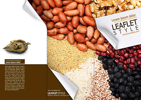 PSD 템플릿 편집 표지디자인 북디자인 출판디자인 표지 리플렛 북커버 식재료 3단접지 곡류 팜플렛 사람없음 견과류 땅콩 호두 팥 검은콩 조 이미지템플릿 콩 파일형식