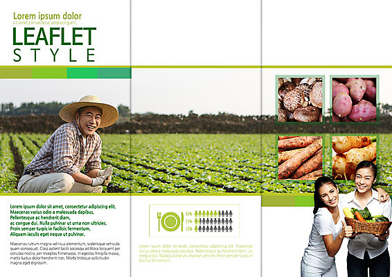 PSD 외국인 템플릿 편집 표지디자인 북디자인 출판디자인 여자 남자 내지 리플렛 50대 밭 채소 북커버 3단접지 동양인 팜플렛 성인 세명 30대 바구니 버섯 당근 한국인 농부 유기농 고구마 총각김치 열무 이미지템플릿 직업 웰빙 중년 농업 김치 뿌리채소 사람 인종 장년 무 파일형식