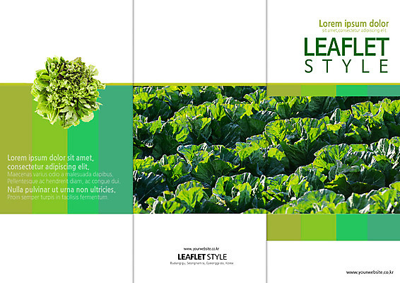 PSD 템플릿 편집 표지디자인 북디자인 출판디자인 표지 리플렛 채소 북커버 3단접지 팜플렛 사람없음 배추 배추밭 이미지템플릿 밭 파일형식