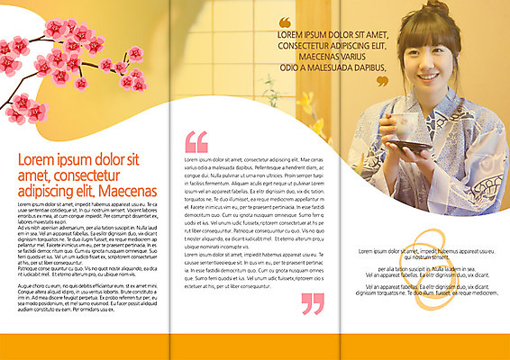 PSD 템플릿 편집 표지디자인 북디자인 출판디자인 여자 내지 리플렛 일본문화 북커버 3단접지 한명 팜플렛 20대 성인 한국인 전통차 기모노 매화 이미지템플릿 1 동양문화 꽃 외국문화 사람 동양인 청년 차_음료 일본전통의상 파일형식