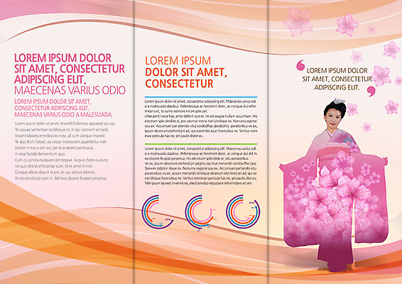PSD 템플릿 편집 표지디자인 북디자인 출판디자인 여자 내지 리플렛 일본문화 북커버 3단접지 한명 팜플렛 성인 벚꽃 기모노 일본인 일본전통 이미지템플릿 외국인 1 동양문화 전통 꽃 외국문화 사람 동양인 일본 일본전통의상 파일형식