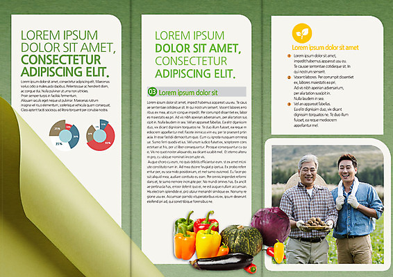 PSD 템플릿 편집 표지디자인 북디자인 출판디자인 남자 내지 종이 아들 리플렛 50대 북커버 3단접지 가족 가지 피망 파프리카 팜플렛 성인 두명 30대 한국인 아빠 농부 적채 단호박 말린_둥글게 이미지템플릿 직업 중년 컨셉 채소 관계 호박 사람 동양인 장년 양배추 파일형식