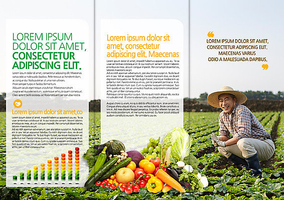 PSD 템플릿 편집 표지디자인 북디자인 출판디자인 남자 내지 리플렛 50대 밭 채소 북커버 3단접지 한명 팜플렛 성인 한국인 농부 밭농사 이미지템플릿 직업 1 중년 농업 사람 동양인 농사 파일형식