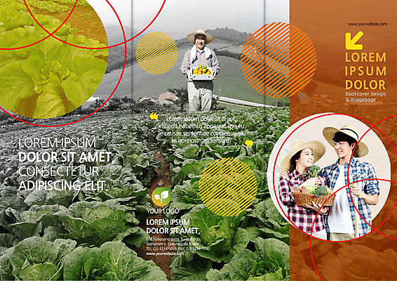 PSD 템플릿 편집 표지디자인 북디자인 커플 출판디자인 여자 표지 남자 리플렛 50대 채소 북커버 3단접지 팜플렛 20대 성인 세명 바구니 농사 한국인 농부 배추밭 밭농사 이미지템플릿 직업 중년 밭 농업 관계 사람 동양인 청년 파일형식