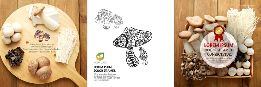 PSD 템플릿 편집 표지디자인 북디자인 출판디자인 표지 리플렛 북커버 3단접지 종류 팜플렛 사람없음 버섯 다양 양송이 팽이버섯 표고버섯 느타리버섯 나무도마 목이버섯 새송이버섯 이미지템플릿 다수 도마 목재 파일형식