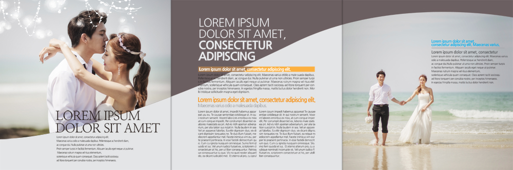 PSD 템플릿 편집 표지디자인 북디자인 커플 출판디자인 여자 남자 내지 신부 리플렛 웨딩드레스 신랑 북커버 3단접지 신혼부부 안기 키스 정장 턱시도 팜플렛 여러명 성인 해변 30대 손잡기 한국인 이미지템플릿 부부 드레스 옷 바다 다수 결혼 관계 모션 사람 동양인 장년 애정표현 신혼 파일형식