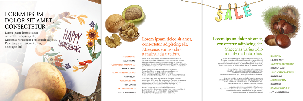 PSD 템플릿 편집 표지디자인 북디자인 출판디자인 내지 리플렛 북커버 3단접지 감자 팜플렛 사람없음 세일 밤 유기농 호두 이미지템플릿 웰빙 채소 견과류 파일형식