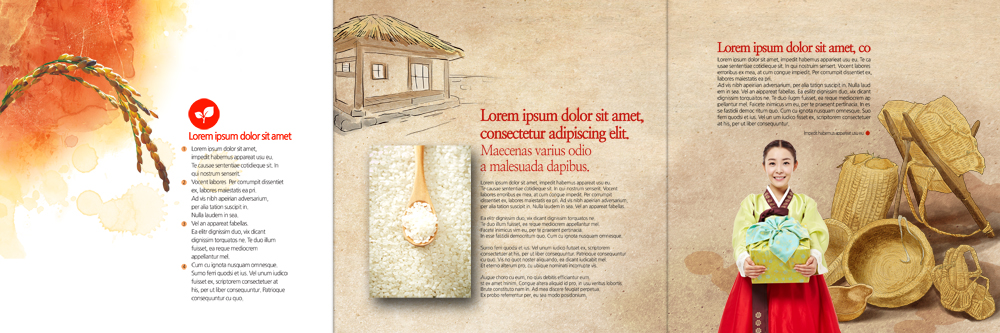 PSD 템플릿 편집 표지디자인 북디자인 출판디자인 여자 내지 리플렛 북커버 3단접지 전통소품 초가집 한명 팜플렛 20대 성인 바구니 한국인 벼 쌀 가을 한복 짚신 지게 선물세트 이미지템플릿 1 한국전통 전통 계절 신발 한옥 곡류 선물 사람 동양인 청년 전통의상 오브젝트 파일형식