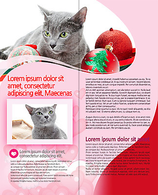 PSD 템플릿 편집 표지디자인 북디자인 출판디자인 내지 리플렛 크리스마스 두마리 2단접지 북커버 팜플렛 사람없음 반려동물 고양이 장식볼 반려 이미지템플릿 동물 기념일 2 포유류 장식 파일형식