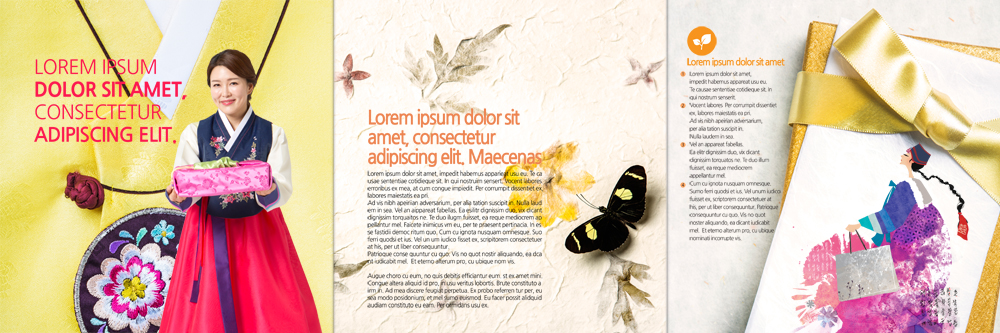 PSD 템플릿 편집 표지디자인 북디자인 출판디자인 여자 리본 내지 신부 리플렛 40대 나비 결혼 북커버 3단접지 선물 팜플렛 성인 두명 한국인 한복 전통혼례 저고리 이미지템플릿 한국전통 중년 곤충 사람 동양인 이벤트 전통의상 전통의례 파일형식