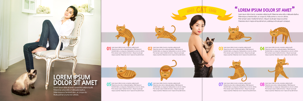 PSD 템플릿 편집 표지디자인 북디자인 출판디자인 여자 내지 리플렛 북커버 3단접지 안기 앉기 팜플렛 20대 성인 두명 반려동물 고양이 한국인 반려 이미지템플릿 동물 포유류 모션 사람 동양인 청년 파일형식 인종