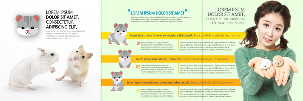 PSD 템플릿 편집 표지디자인 북디자인 출판디자인 여자 내지 리플렛 북커버 여러마리 3단접지 한명 들기 팜플렛 상반신 20대 성인 앞모습 반려동물 한국인 쥐 햄스터 반려 이미지템플릿 동물 1 뷰포인트 다수 모션 사람 동양인 청년 설치류 파일형식 인종