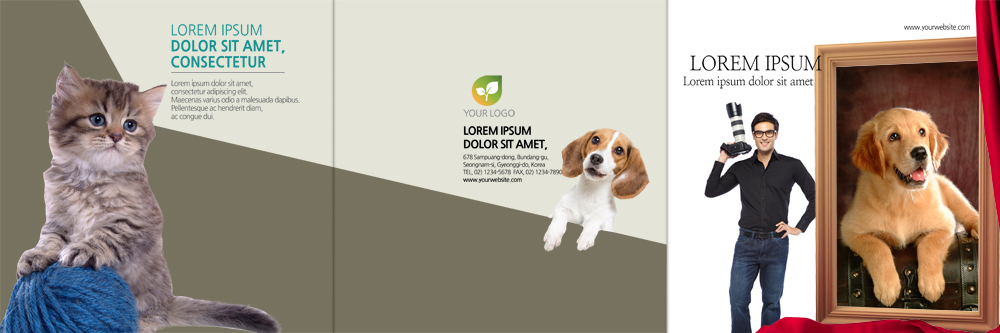 PSD 서양인 템플릿 편집 표지디자인 북디자인 출판디자인 표지 남자 반려견 리플렛 액자 북커버 3단접지 세마리 한명 팜플렛 성인 반려동물 고양이 강아지 사진사 DSLR 반려 이미지템플릿 외국인 동물 1 포유류 3 사람 카메라 개 작가 파일형식