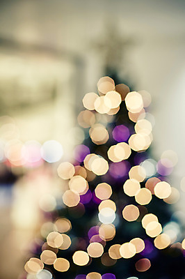 포토 JPG 백그라운드 크리스마스장식 크리스마스 사람없음 야외 크리스마스트리 보케 국내포토 기념일 파일형식