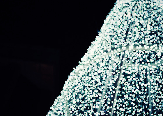 포토 JPG 백그라운드 크리스마스장식 크리스마스 전구 사람없음 야외 크리스마스트리 야간 보케 꼬마전구 국내포토 자연요소 기념일 파일형식