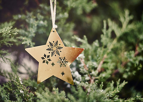 포토 JPG 별 백그라운드 크리스마스장식 크리스마스 사람없음 야외 아웃포커스 크리스마스트리 눈송이 오너먼트 국내포토 자연요소 기념일 눈_날씨 촬영기법 파일형식