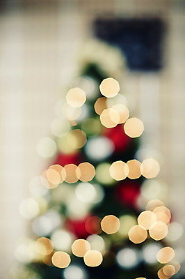 포토 JPG 백그라운드 크리스마스장식 크리스마스 사람없음 야외 크리스마스트리 보케 국내포토 기념일 파일형식