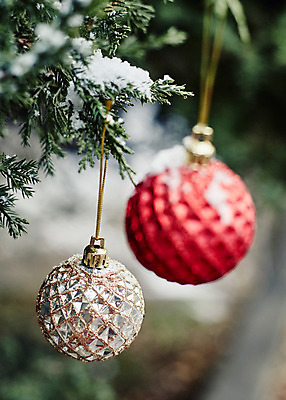 포토 JPG 백그라운드 크리스마스장식 크리스마스 사람없음 야외 아웃포커스 크리스마스트리 오너먼트 국내포토 기념일 촬영기법 파일형식